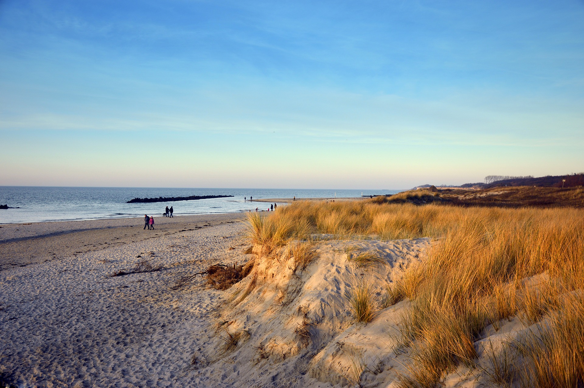 Plaże z wydmami na bałtyckim wybrzeżu. Fot. falco/Pixabay